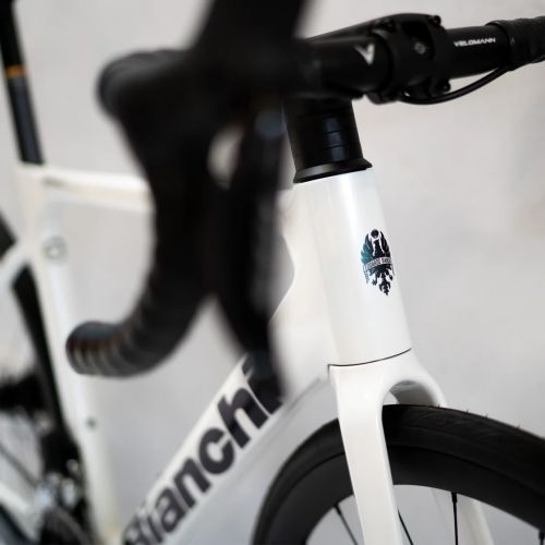 BIANCHI SPRINT ICR SHIMANO 105 12S SI WHITE, 55 cm Cijena