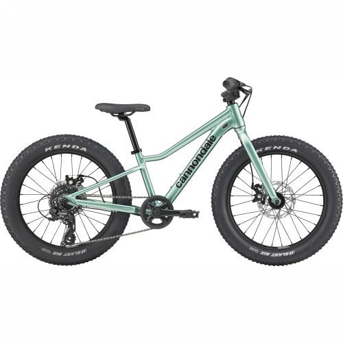 CANNONDALE KIDS TRAIL PLUS 20” (C5203GU20/CTG) Cijena